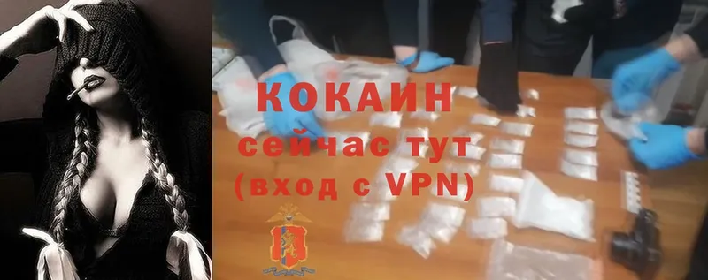 Cocaine Колумбийский  блэк спрут маркетплейс  Жердевка 